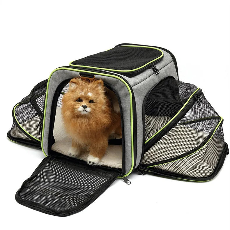 Cat carrier bag in 600D cation fabric shown in large and small size options