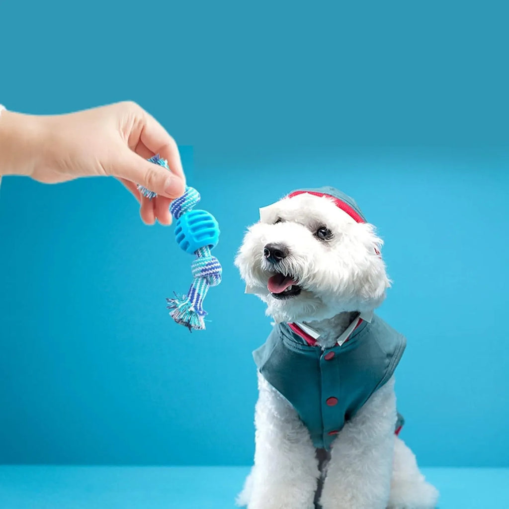 Blue dog dental chew toy with integrated rope elements for teeth cleaning