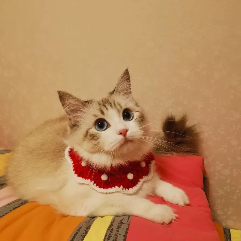 Hand-knitted milk cotton pet collar with a cartoon animal pattern, shown in a customisable colour.