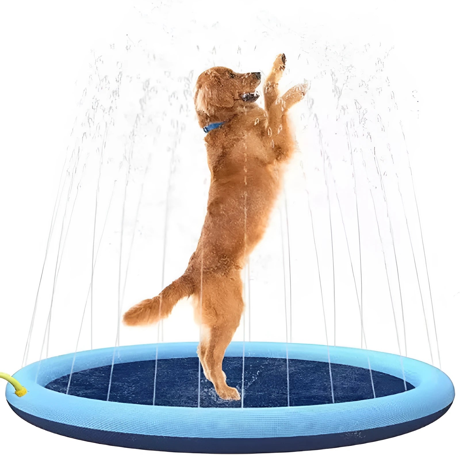 Inflatable blue dog sprinkler pool mat with anti-slip texture, connected to a garden hose in a garden.