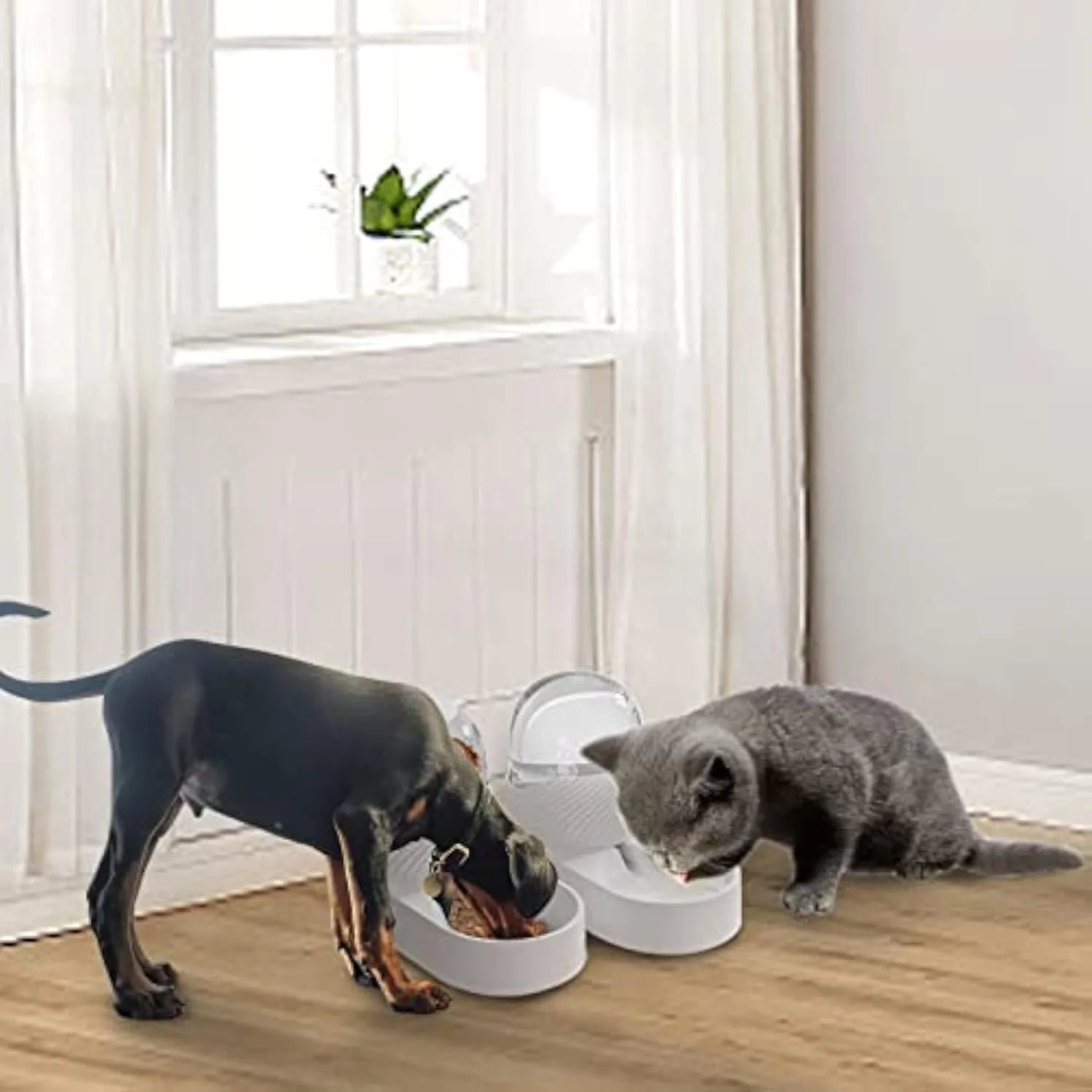 White automatic cat feeder and water dispenser set, each with 2L capacity and wave-shaped design.