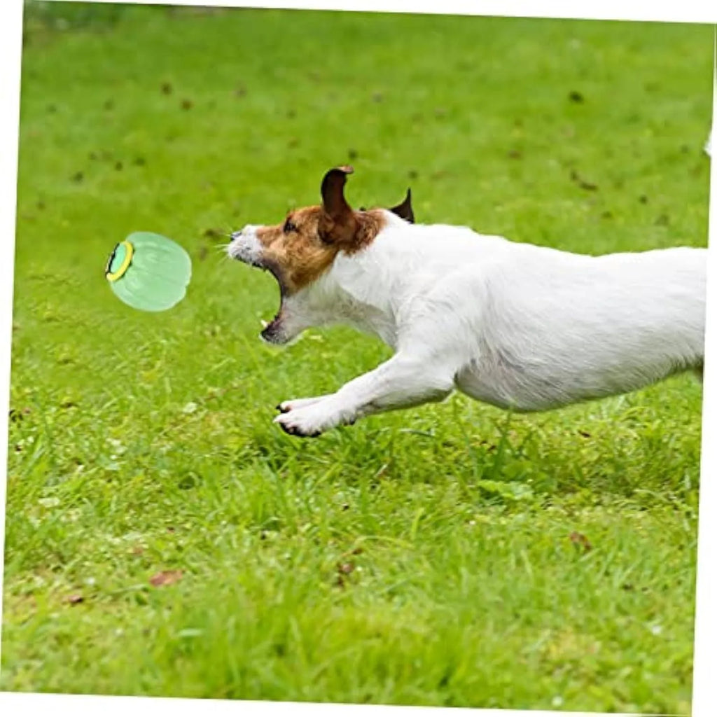 Orange pumpkin-shaped plastic dog chew ball with a squeaker for small dogs and teething puppies.