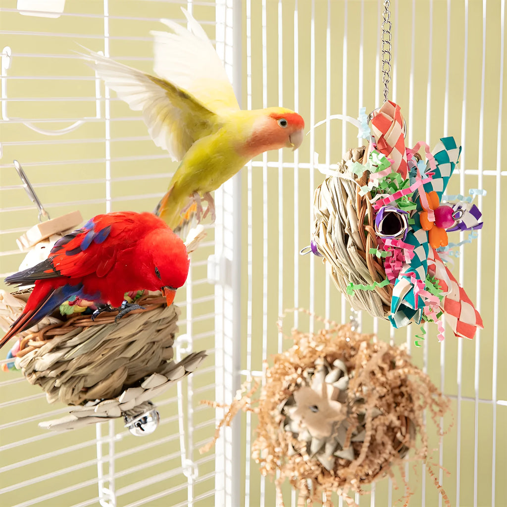 Parrot gnawing molar chew toy set with three wooden pieces of different weights for bird beak care