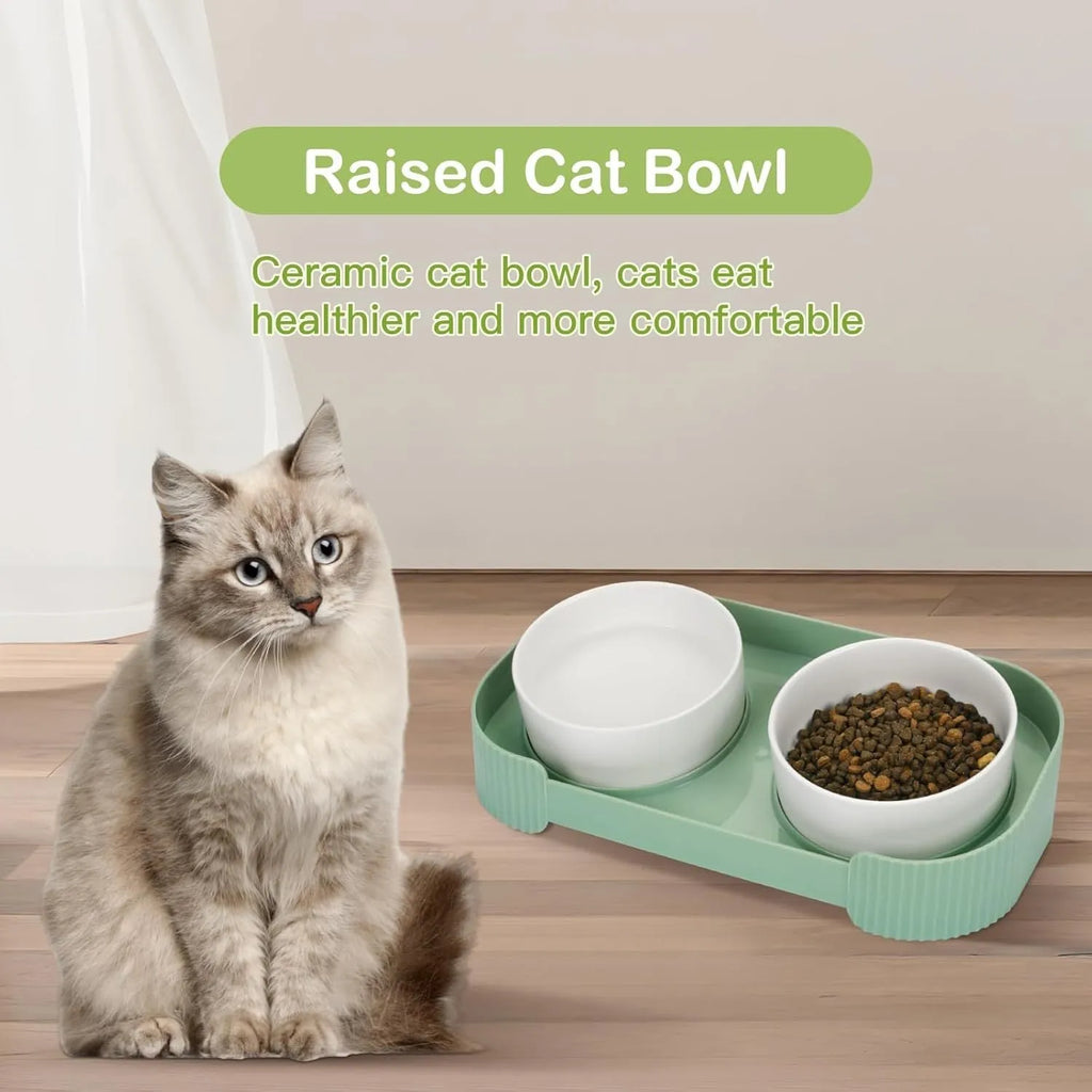 Green ceramic elevated cat bowl set with 15-degree tilt and non-slip base