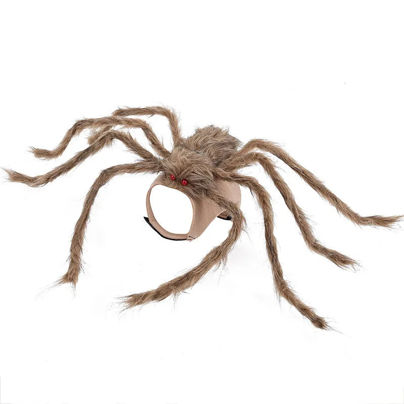 Halloween spider costume for pets in polyester with S, M, L sizing and grey, brown, black, purple colours