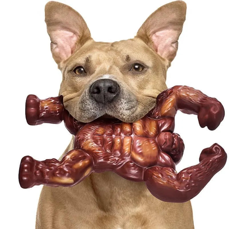 Scarlet beef-flavoured nylon dog molar chew toy for small to medium breeds