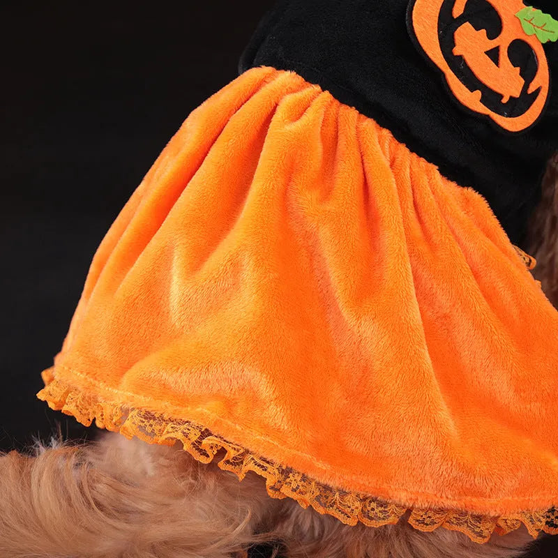 Crystal velvet pet Halloween costume in pumpkin skirt and sweater styles for small dogs and cats