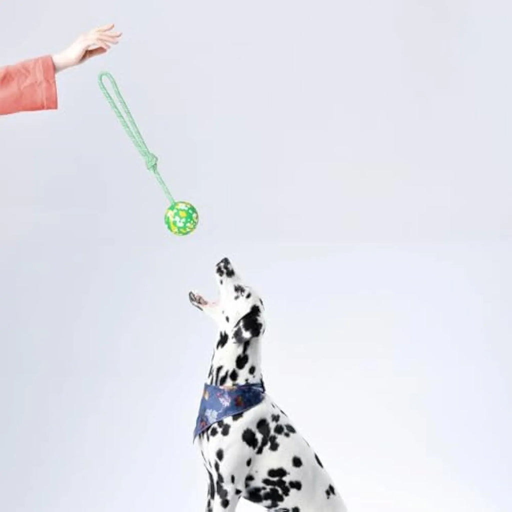 Dog rope ball toy with natural rubber ball and nylon rope in two sizes