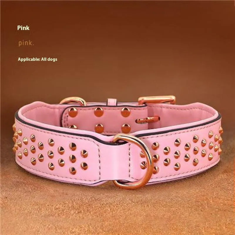 Leather dog collar with anti-bite rivets in chocolate colour showing adjustable buckle and rivet details