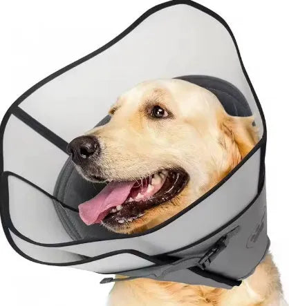 Adjustable polyester pet sterilisation collar showing double layer construction and anti-bite ring