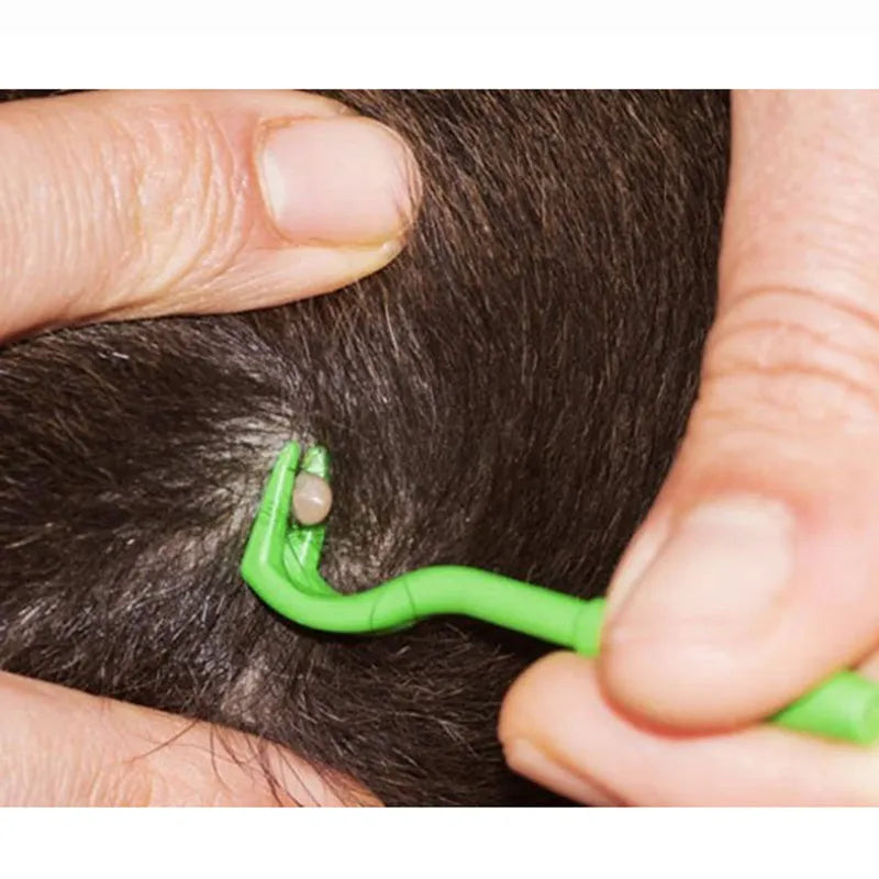 Three plastic pet tick removal hook tools in blue or green for dogs and cats.