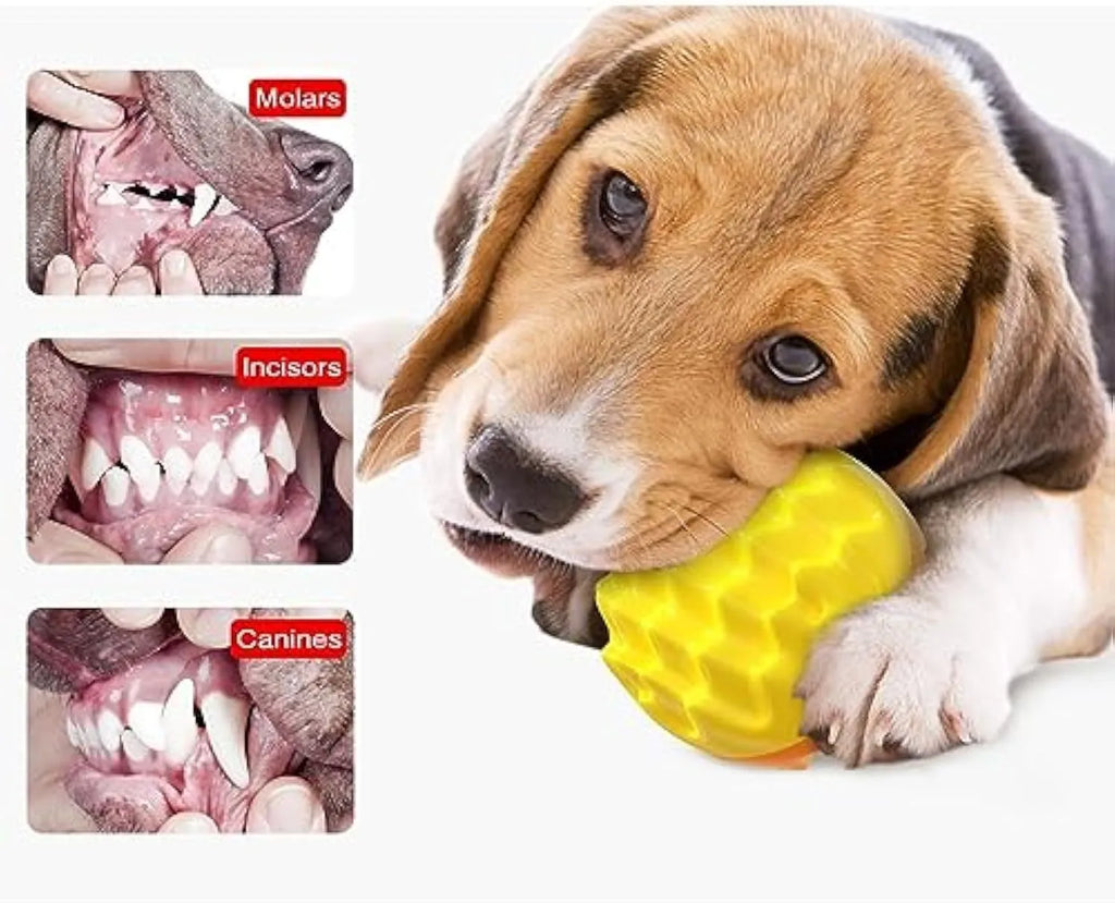 Blue squeaky dog ball toy with spiky texture for dental cleaning and water fetch