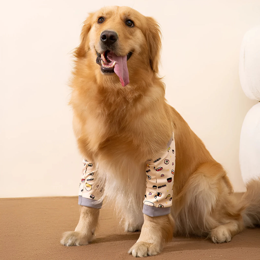 Dog wearing blue knee protector with padded elbow patch and matching scarf
