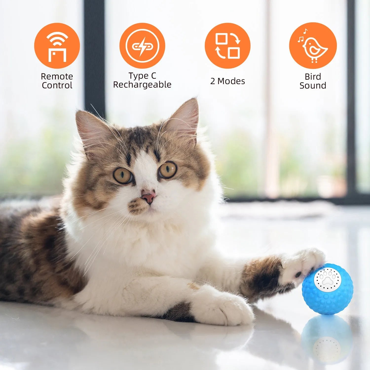 Remote control and interactive rolling ball cat toy with feather wand attachment in blue, green, and yellow colours.
