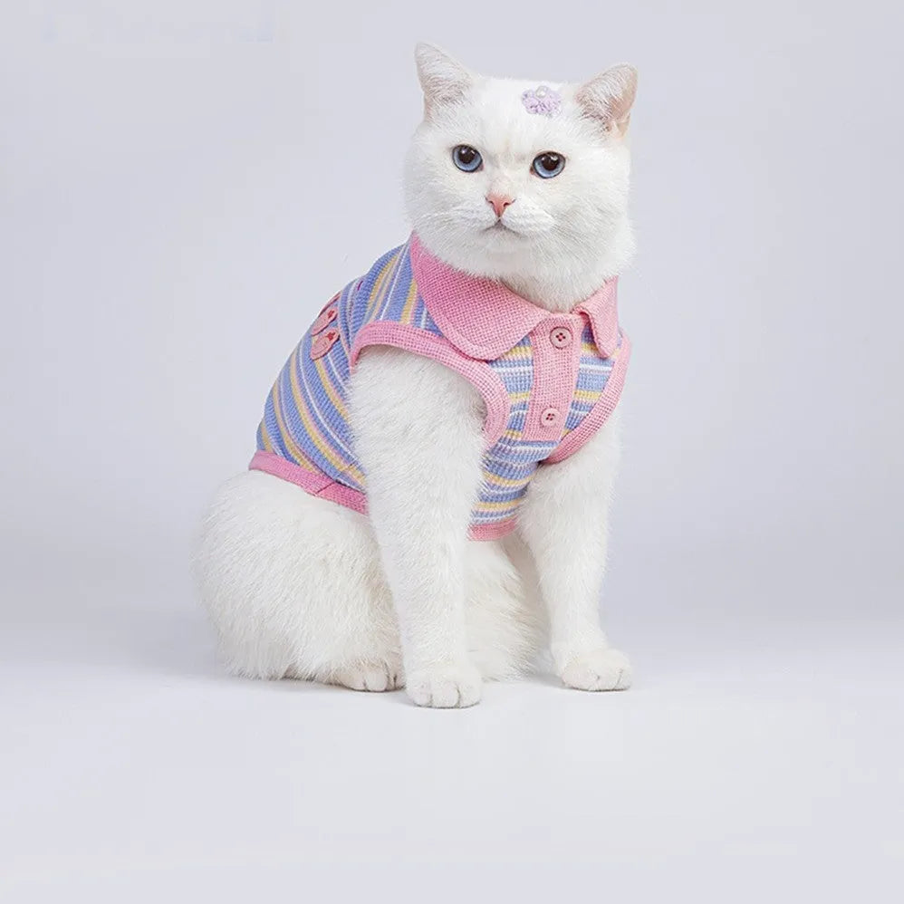 Pink purple vest for a small dog or cat on a mannequin, showing autumn pet clothing.