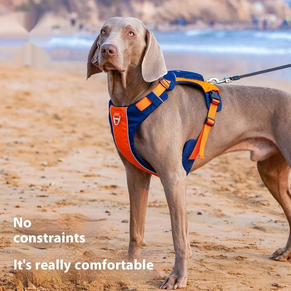 Dog chest strap harness with hand rope in vest style design available in orange blue or yellow brown colours