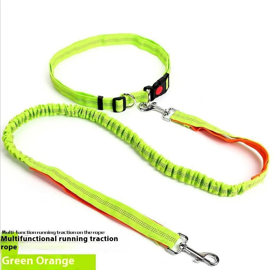 Reflective elastic dog leash in two-tone colours with 2.5cm width nylon sling