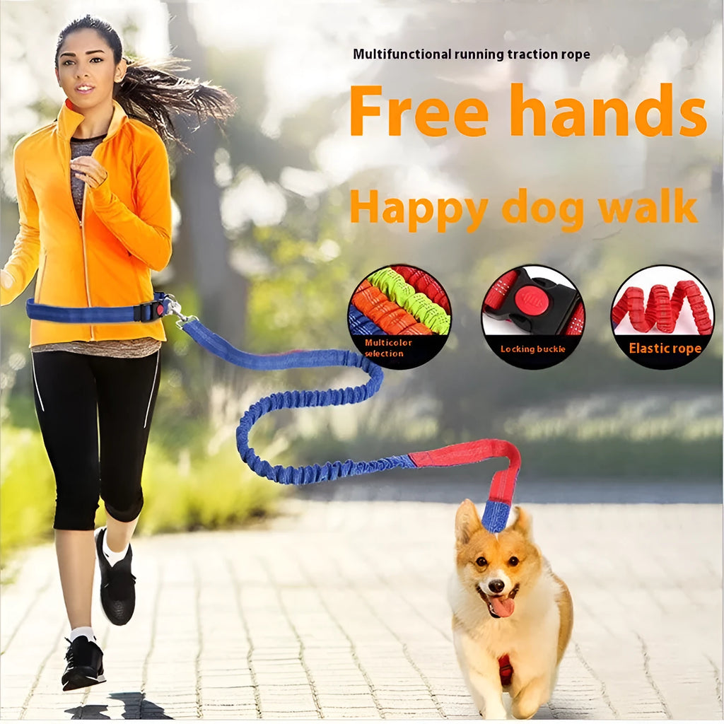 Reflective elastic dog leash in two-tone colours with 2.5cm width nylon sling