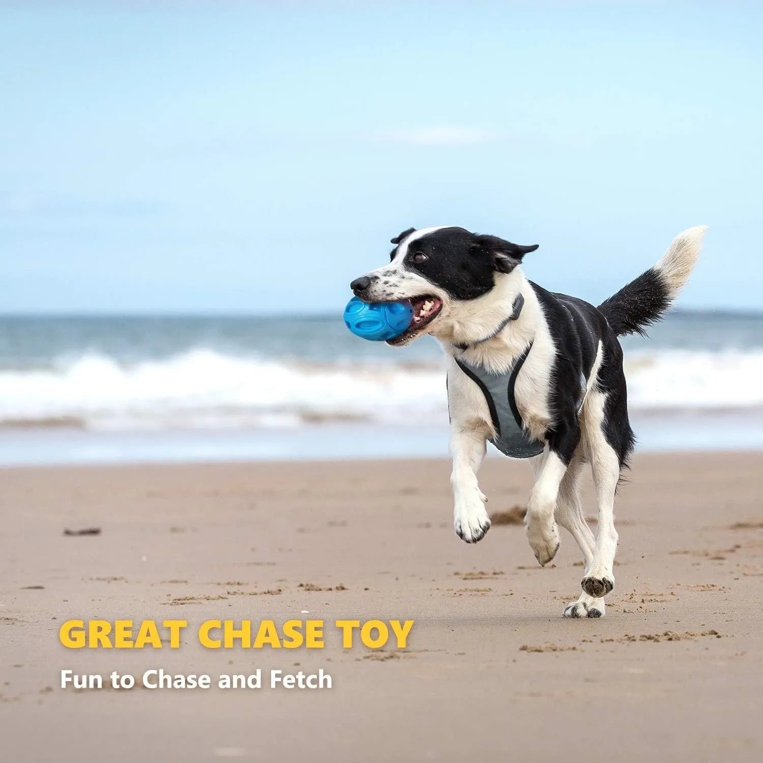 Blue durable rubber squeaky dog ball with surface grooves for aggressive chewers