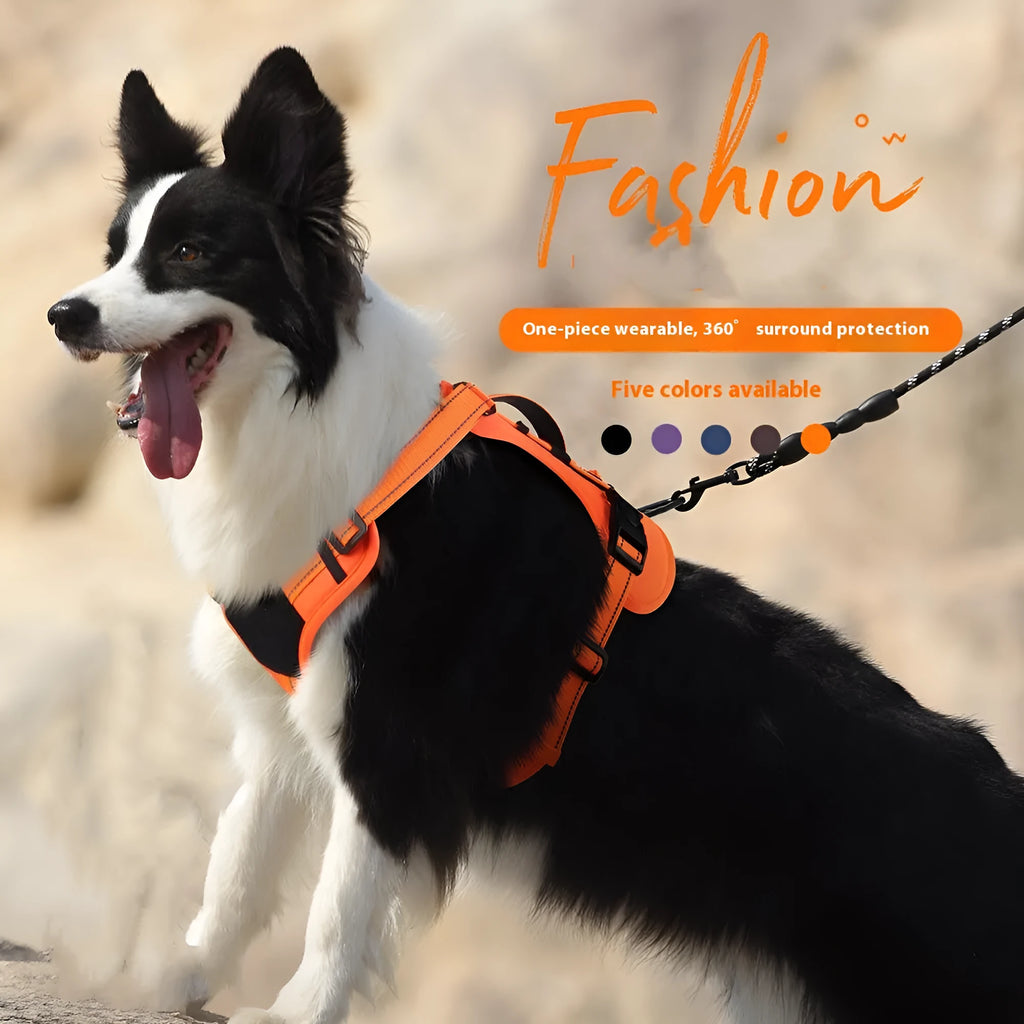Orange reflective dog harness with explosion-proof hand holding rope on a medium-sized dog.