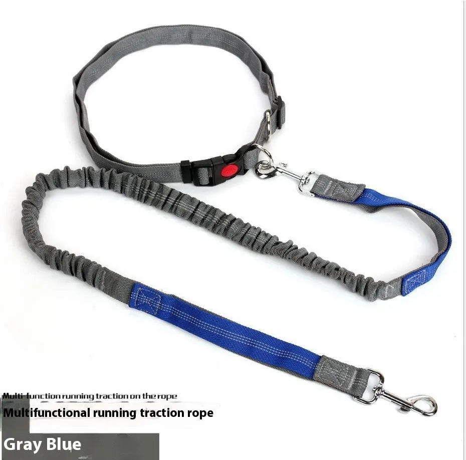 Reflective elastic dog leash in two-tone colours with 2.5cm width nylon sling