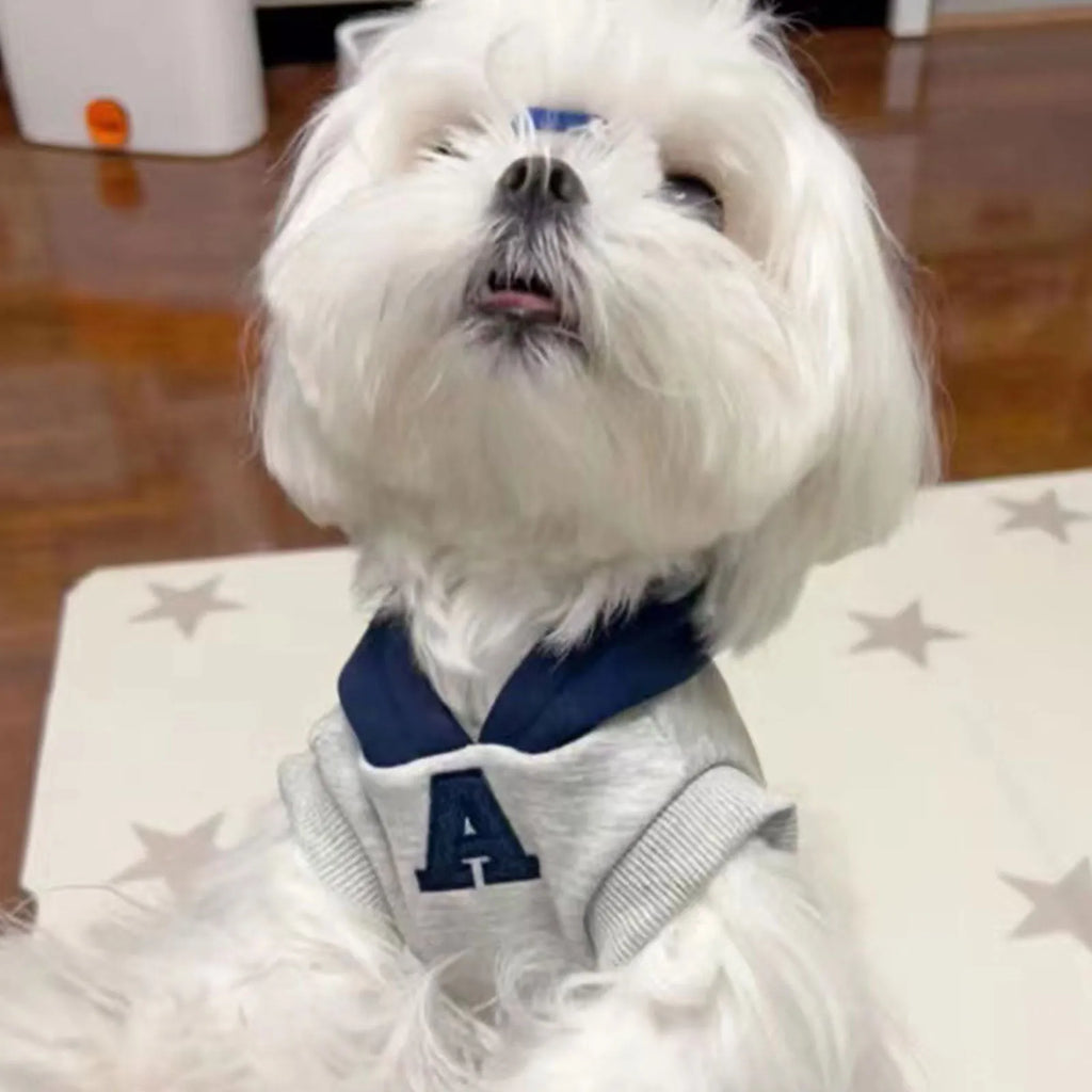 Blue and white reflective letter pet sweater for cats and dogs in slim fit polyester