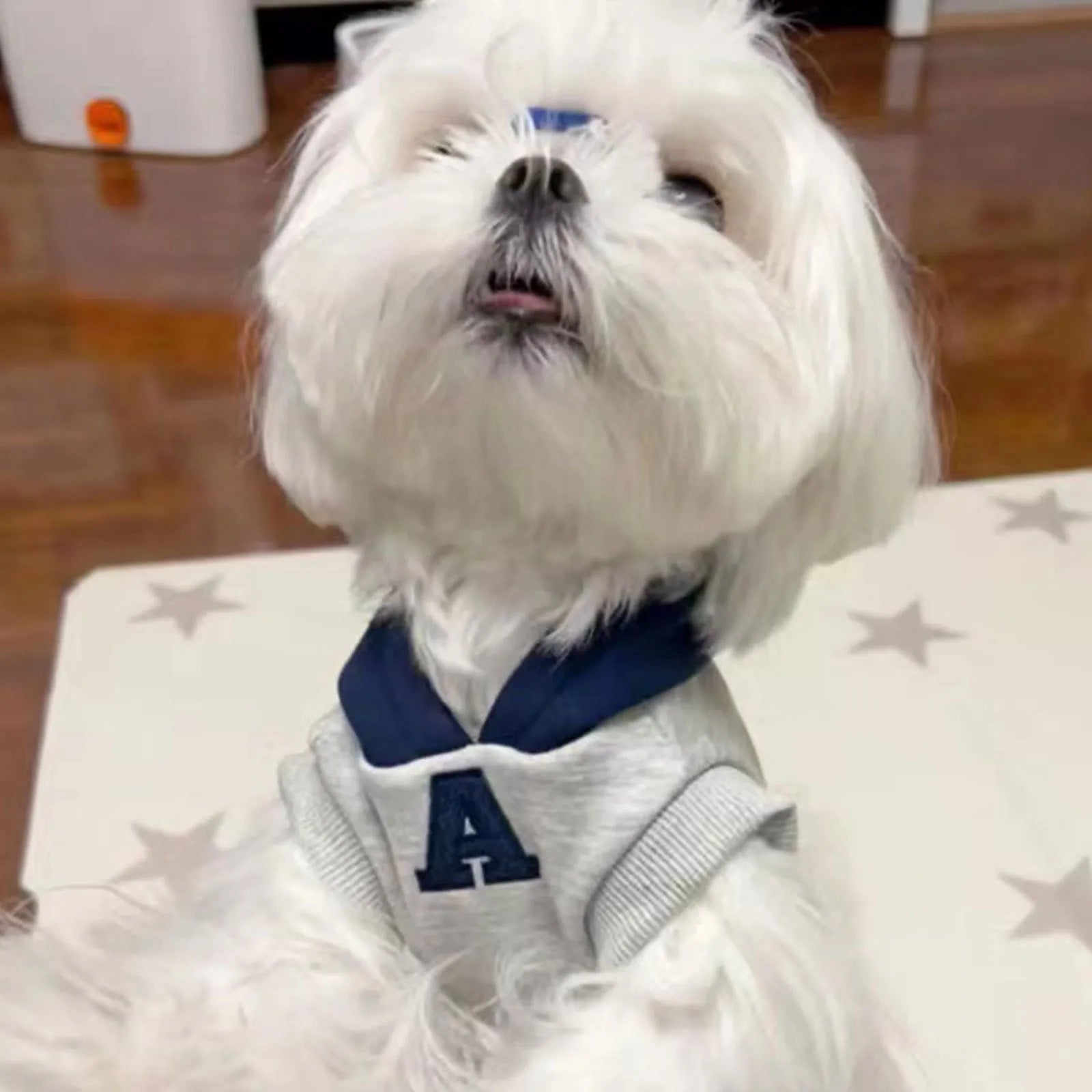 Blue and white reflective letter pet sweater for cats and dogs in slim fit polyester