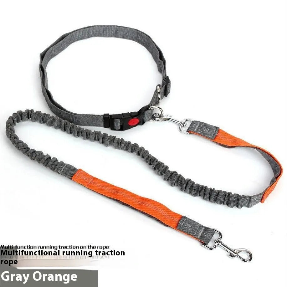 Reflective elastic dog leash in two-tone colours with 2.5cm width nylon sling