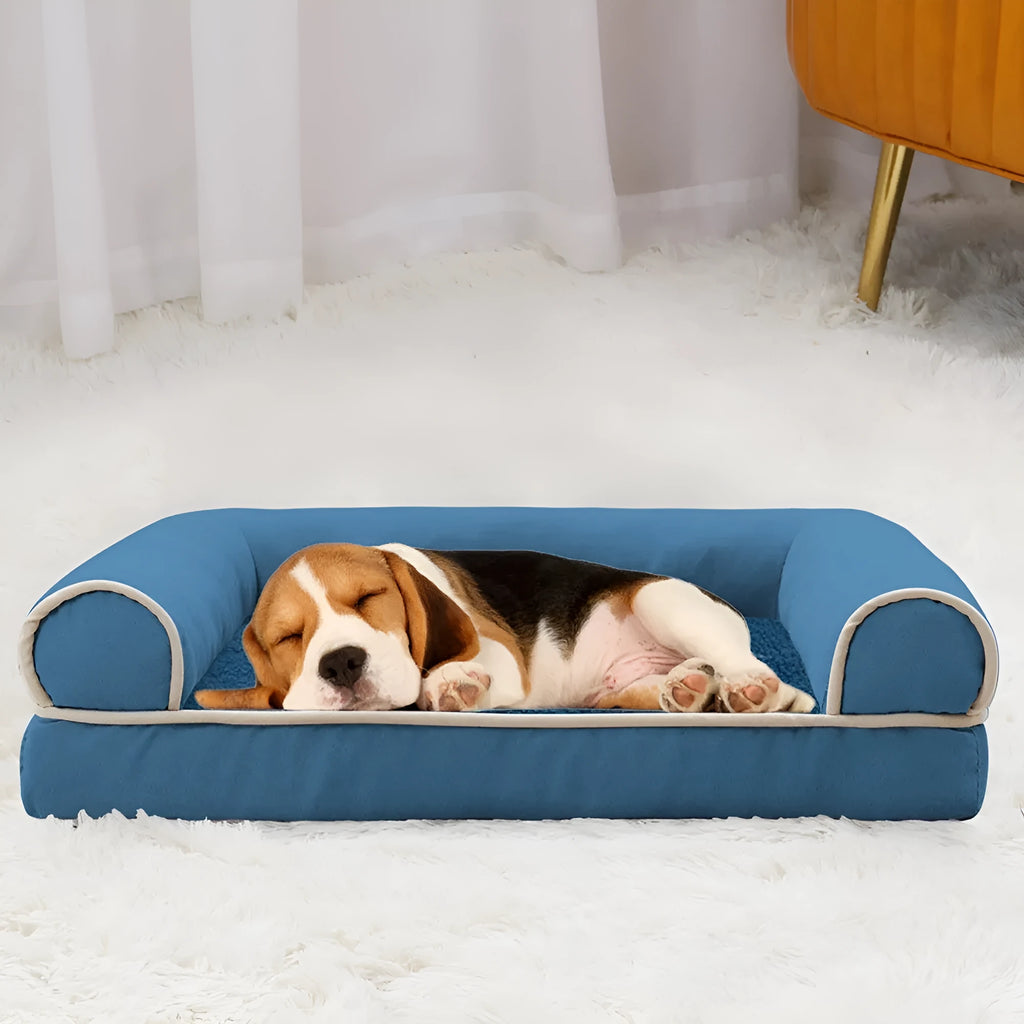 Square dog bed with sponge filling shown in blue colour with dog resting