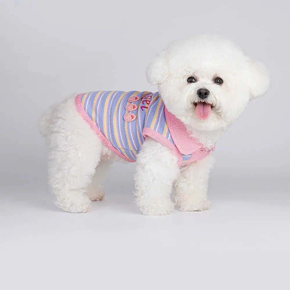 Pink purple vest for a small dog or cat on a mannequin, showing autumn pet clothing.