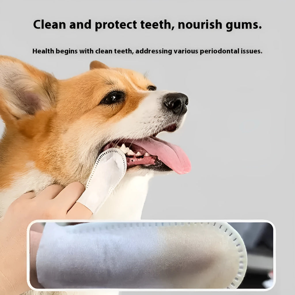50 piece pack of non-woven fabric pet dental finger stalls for cat and dog oral cleaning