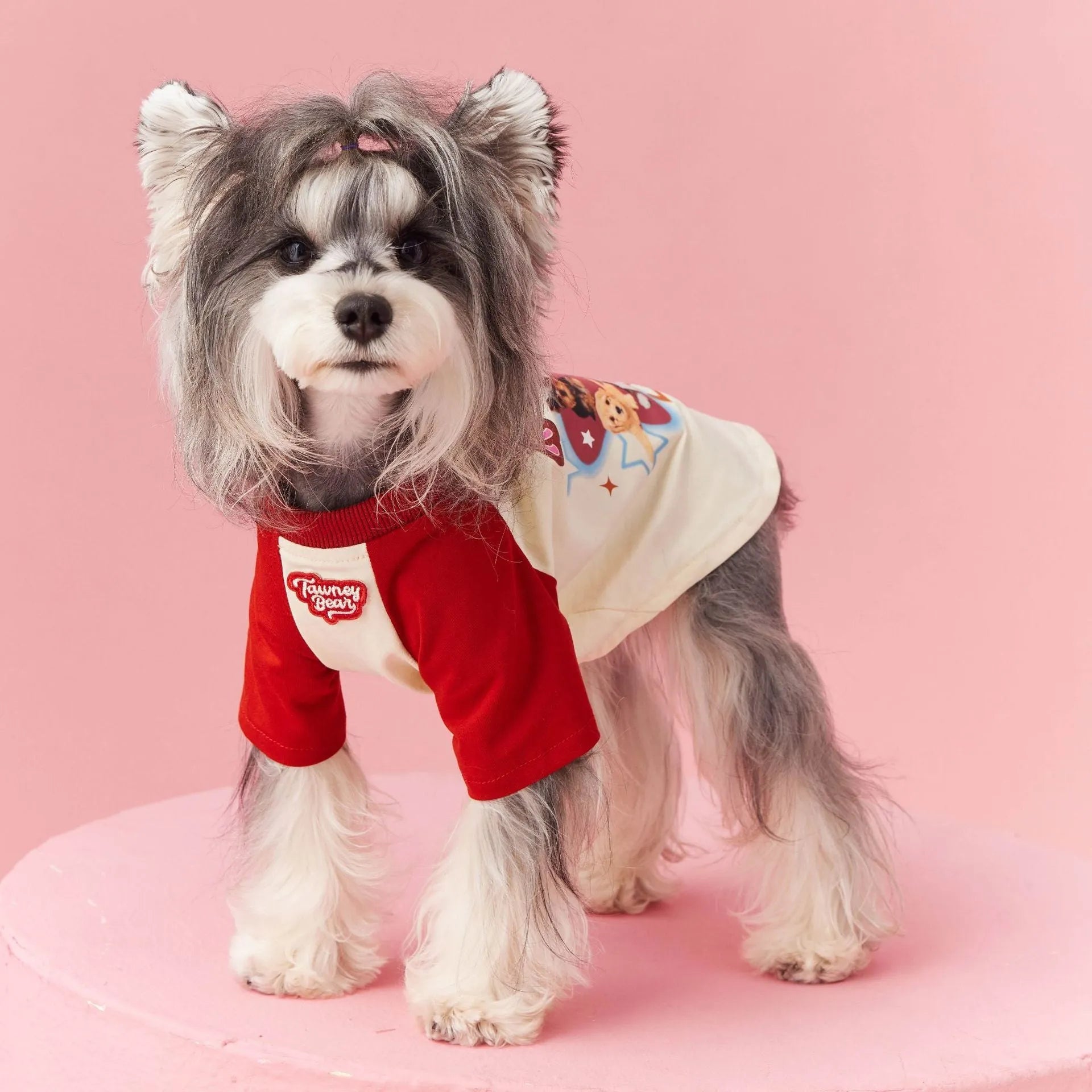 Cotton dog summer clothes with embroidered design in red or pink, sizes XS to XXL