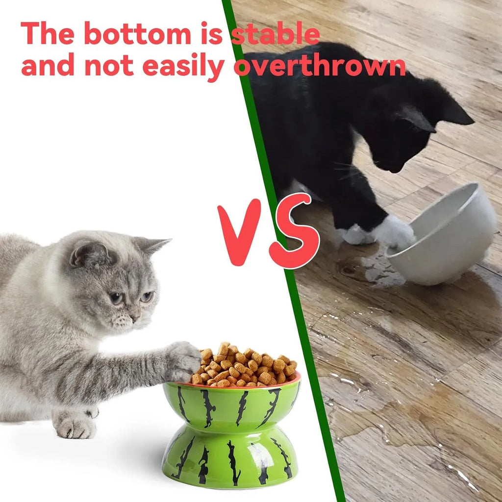 Ceramic raised cat bowl with tilted design and colourful fruit pattern