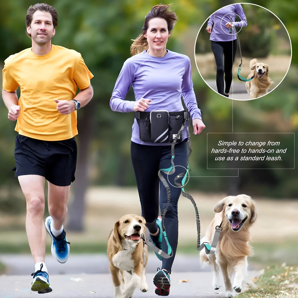 Black waterproof nylon pet training bag and dog walking leash set for outdoor sports