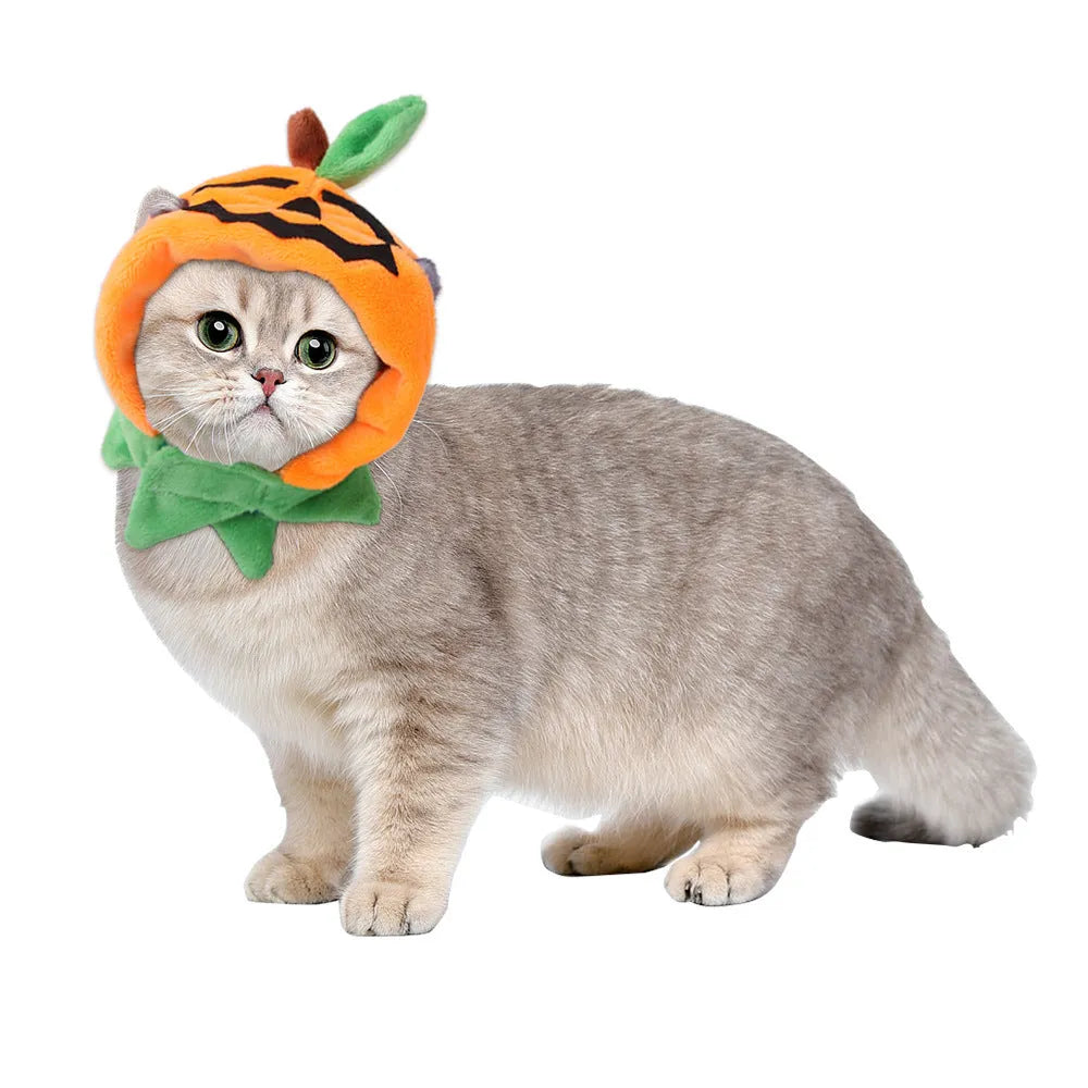 Orange reversible plush Halloween pumpkin cloak for dogs and cats with hood