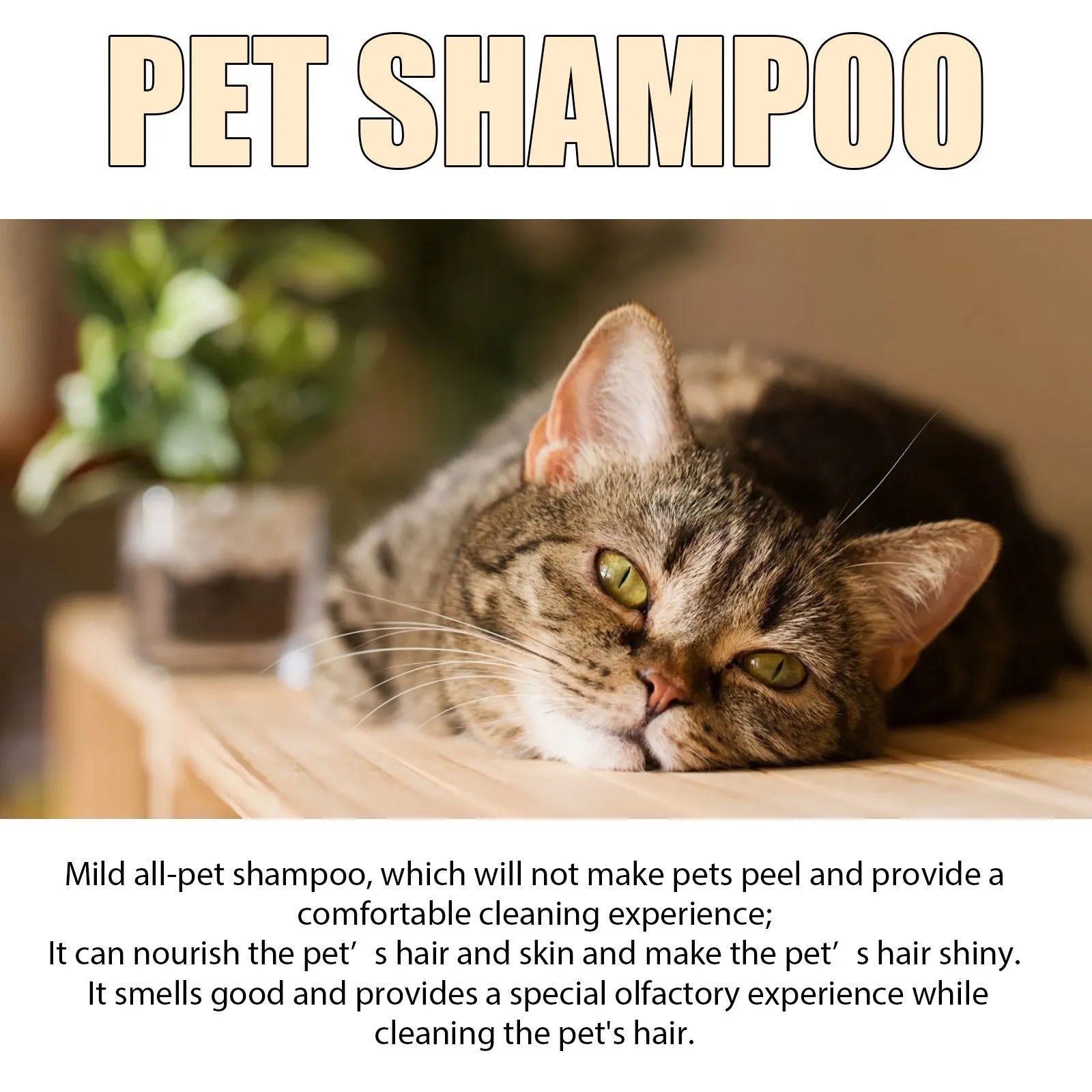 Bottle of mild dog shampoo for soft, tangle-free hair in 100ml and 300ml sizes.