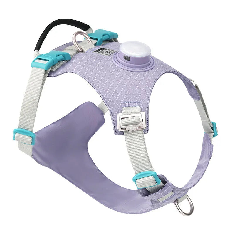 Nylon dog chest harness with LED light in six colour options including light purple and green