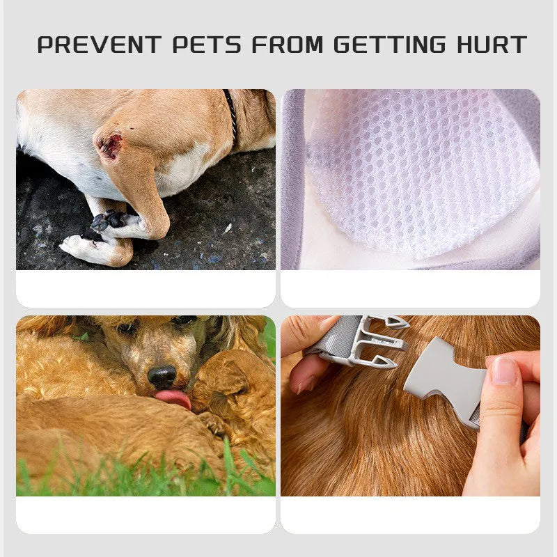 Dog wearing blue knee protector with padded elbow patch and matching scarf