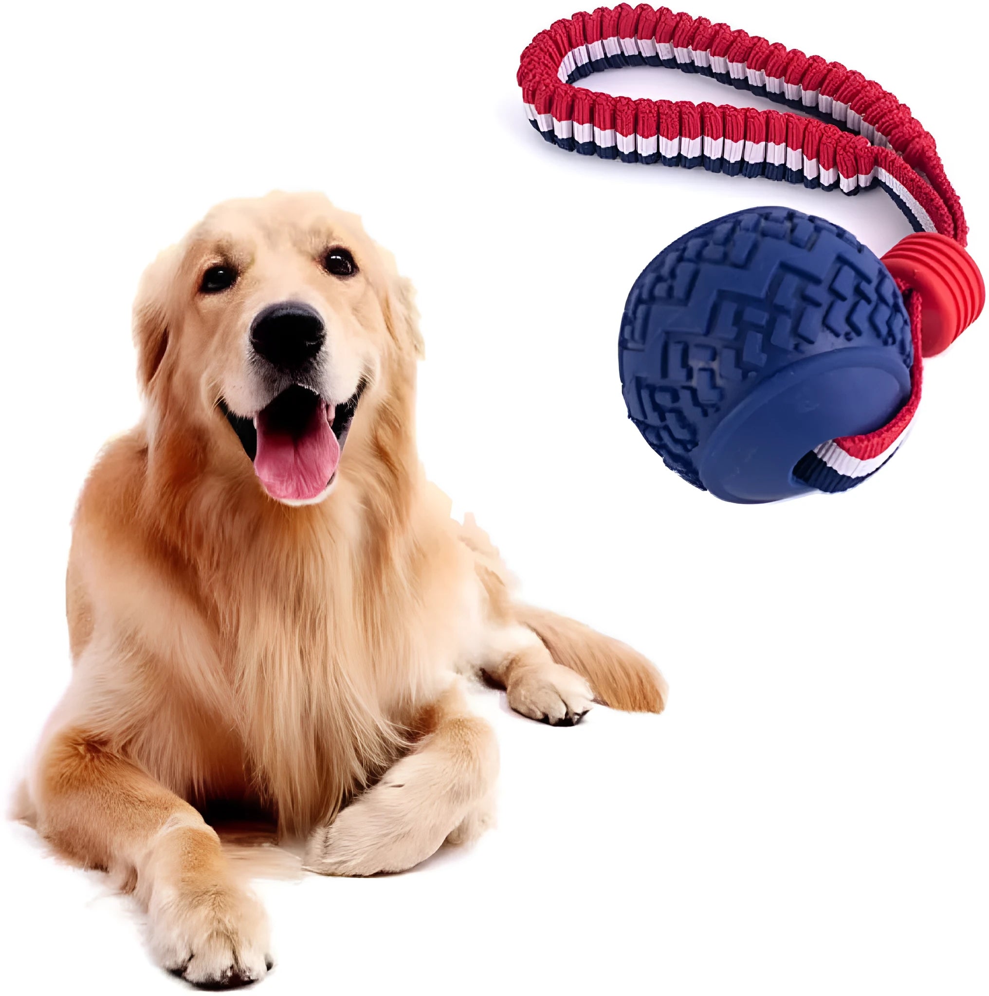 Blue rubber dog ball with rope attachment measuring 29cm long for small breed dogs