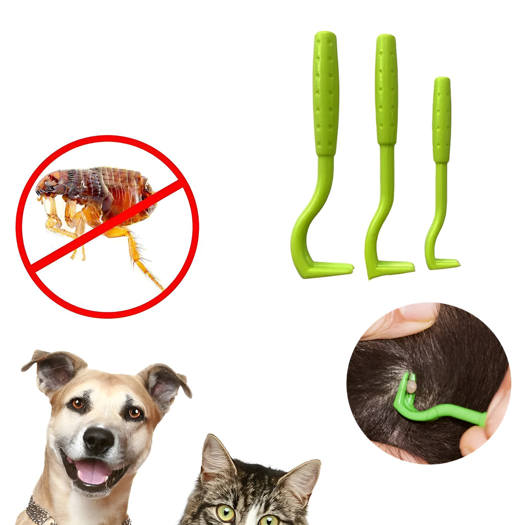 Three plastic pet tick removal hook tools in blue or green for dogs and cats.