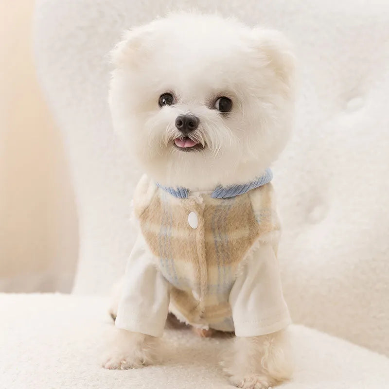 Blue corduroy dog vest with chessboard grid pattern and a hooded traction design.