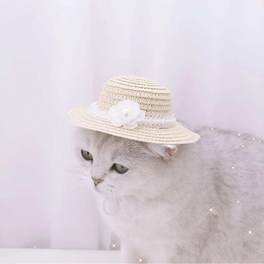 Handmade adjustable paper pet hat with a bowknot for a dog or cat, shown in a solid colour.