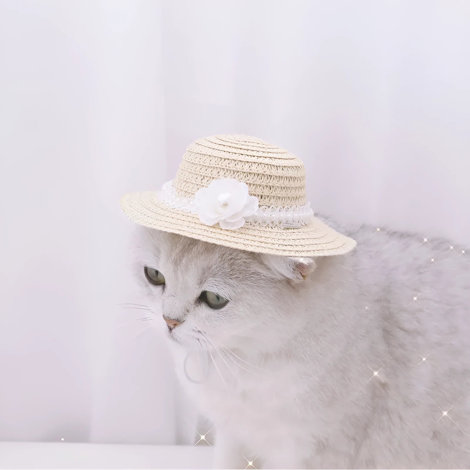 Handmade adjustable paper pet hat with a bowknot for a dog or cat, shown in a solid colour.