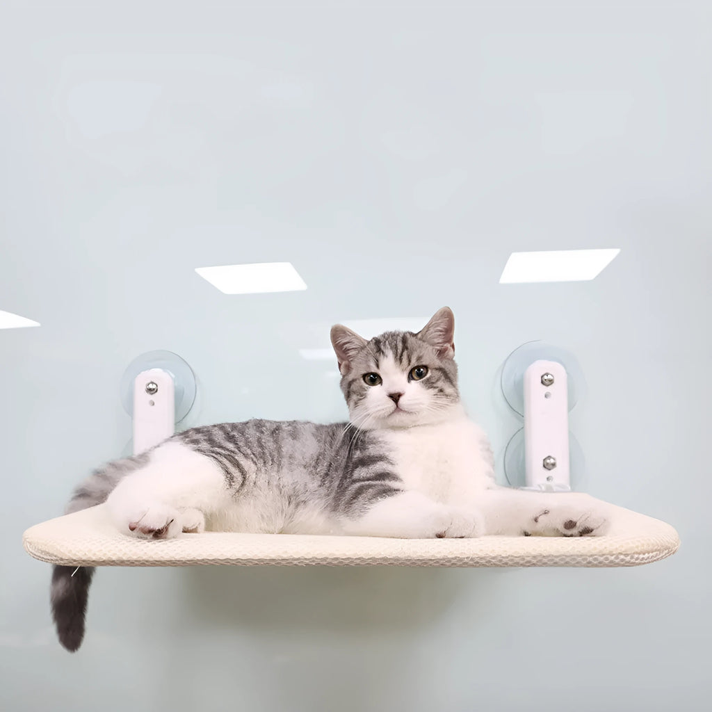 Stainless steel cat litter tray window seat cushion with suction cup accessories in foldable sizes