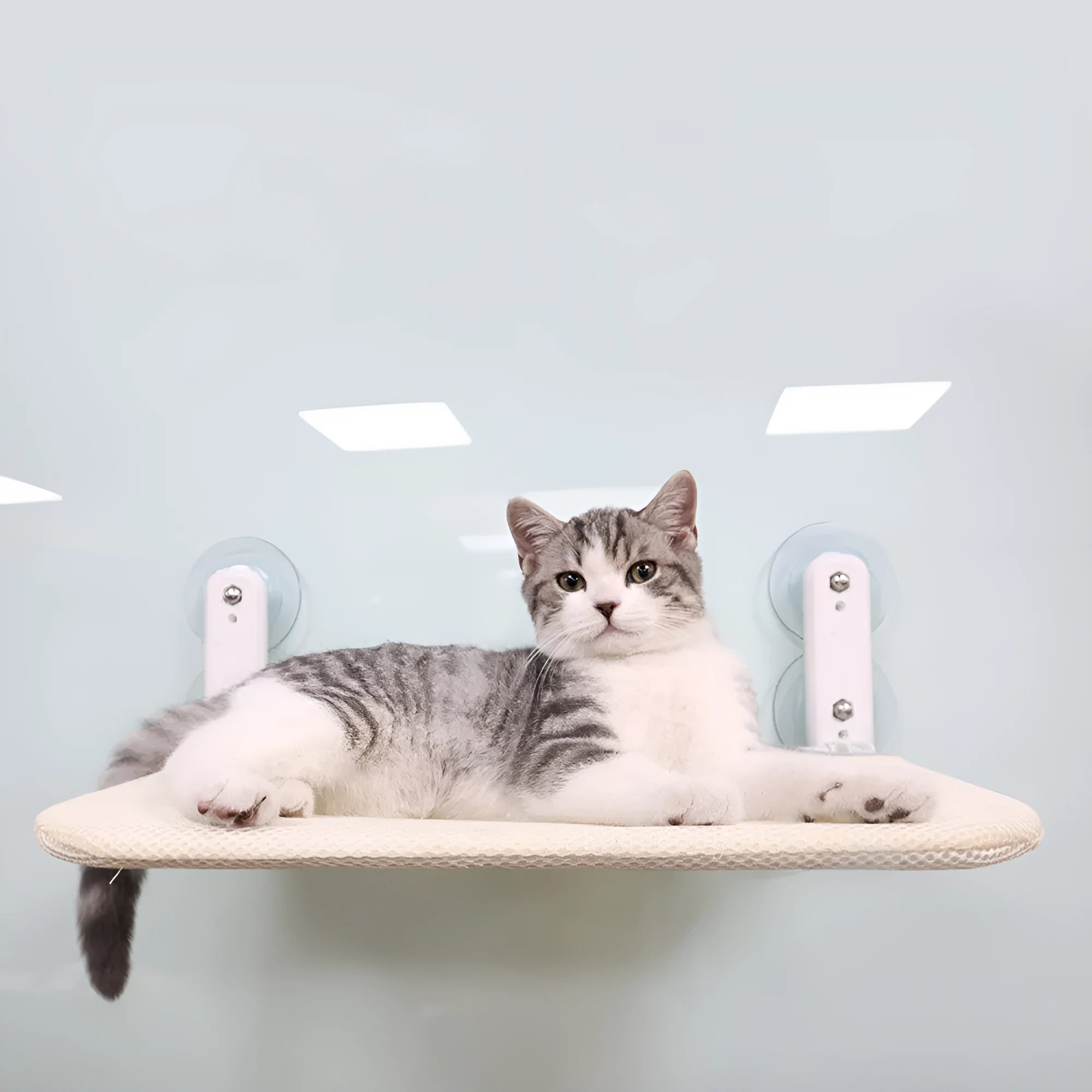 Stainless steel cat litter tray window seat cushion with suction cup accessories in foldable sizes