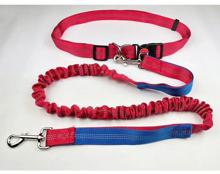Reflective elastic dog leash in two-tone colours with 2.5cm width nylon sling