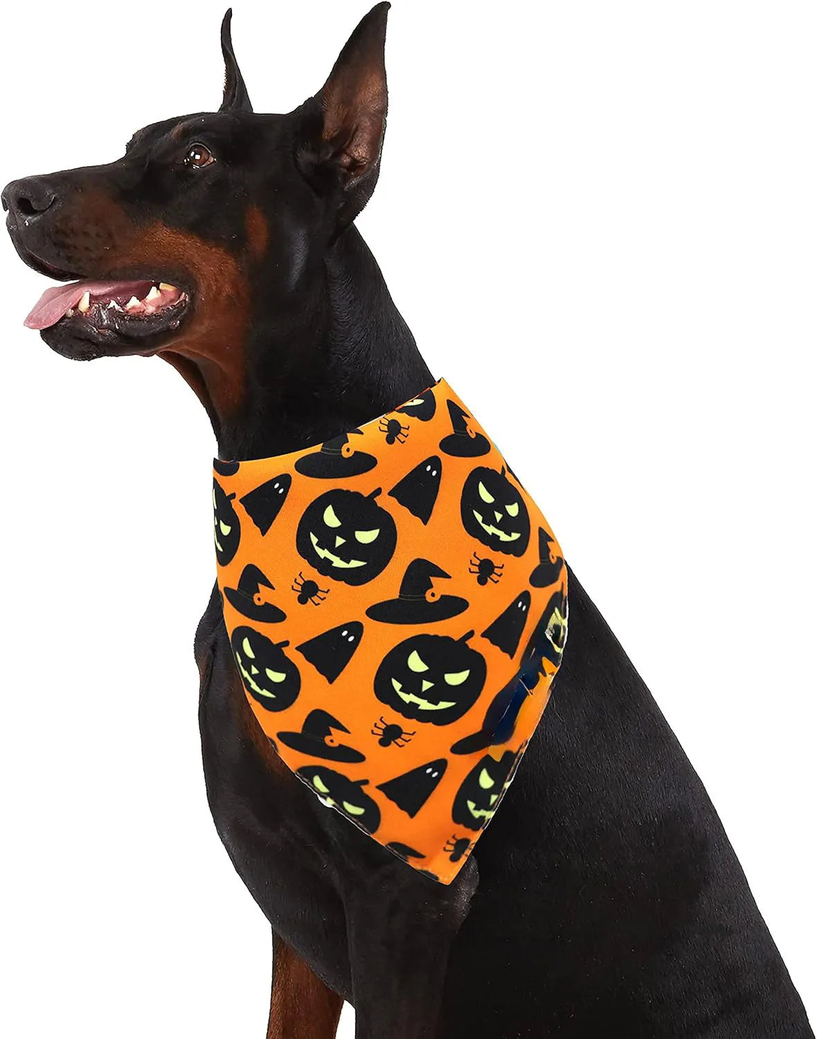 Black and orange reversible Halloween dog bandana with pumpkin and spider web patterns