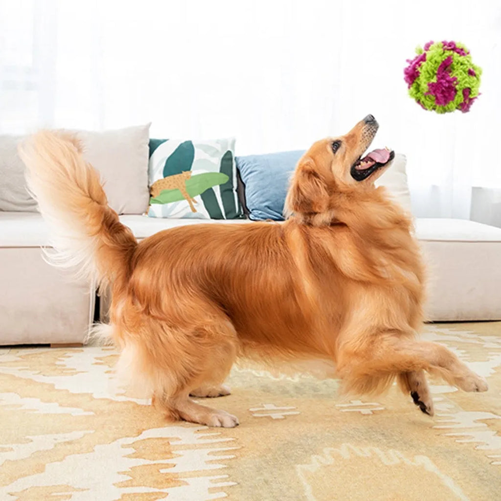 Purple plush sea urchin dog chew ball toy for interactive play and dental cleaning