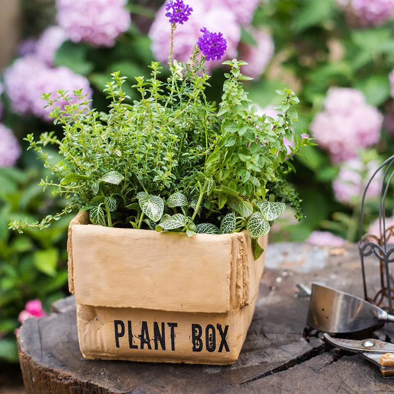 Cement flower pot with brown paper box texture and drainage holes, shown in a neutral home setting.