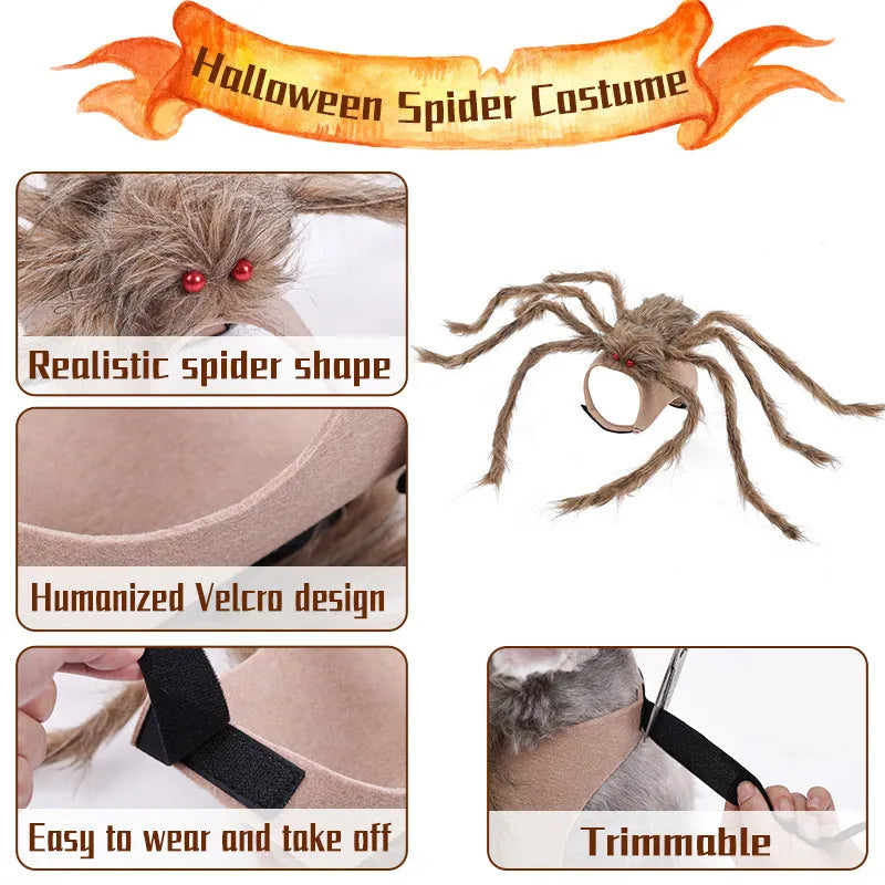 Halloween spider costume for pets in polyester with S, M, L sizing and grey, brown, black, purple colours